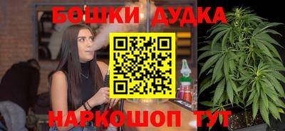 индика Обнинск